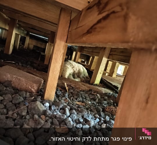 תמונה מתחת למבנה עם חצץ ועץ